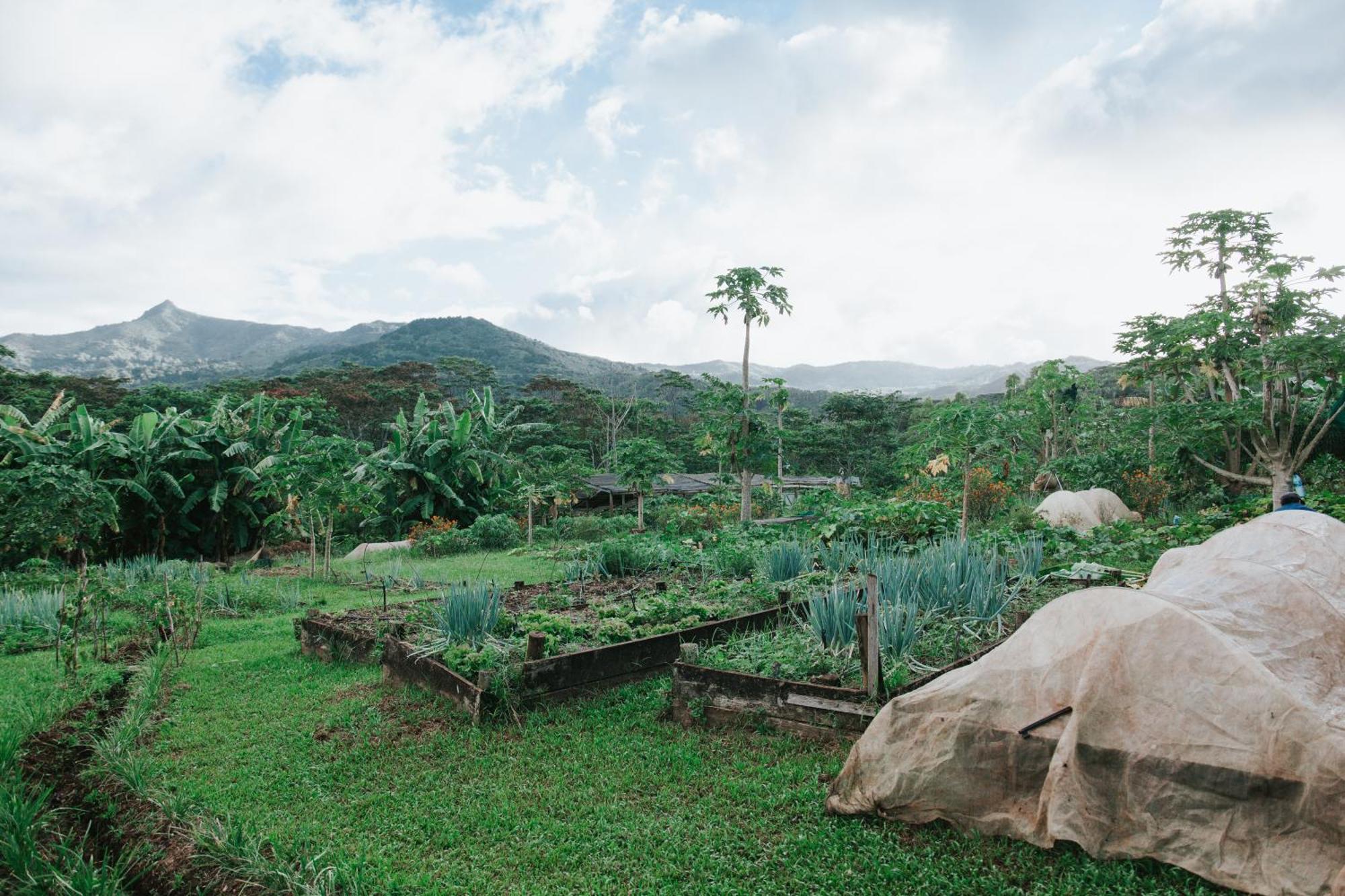 Villa La Vieille Cheminee Chamarel Exterior foto