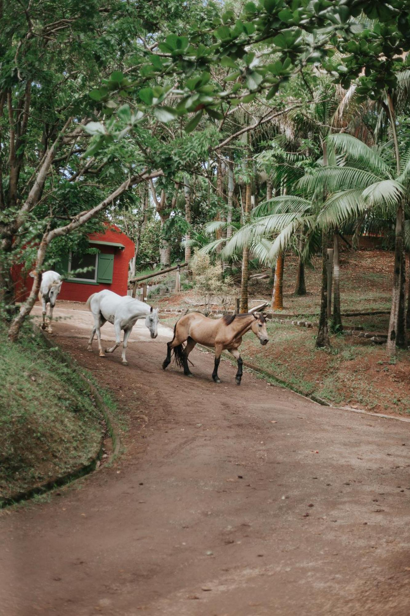 Villa La Vieille Cheminee Chamarel Exterior foto
